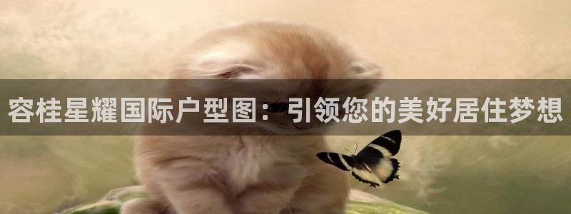 下载彩虹多多极速版