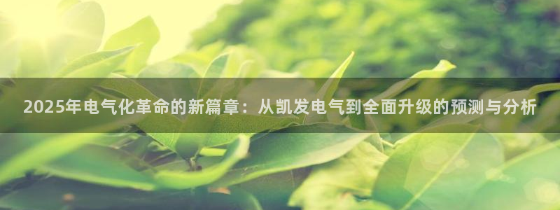 彩虹多多官方官网