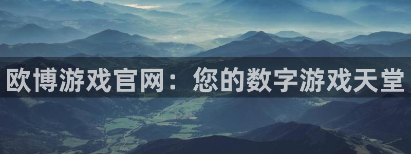 彩虹多多官方免费下载