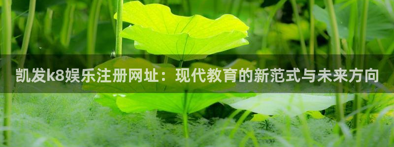 电脑版彩虹多多