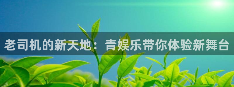 电脑版彩虹多多