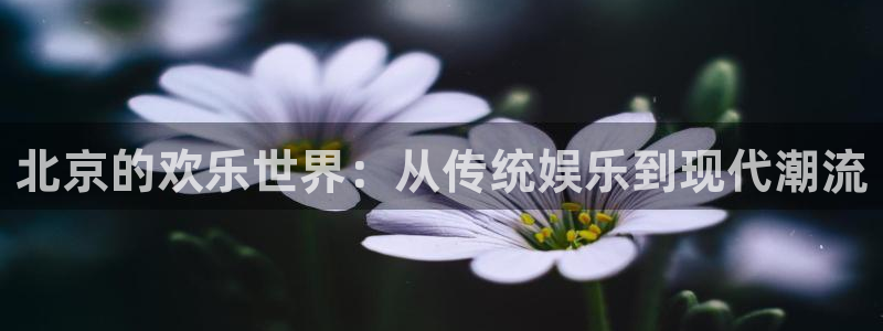 彩虹多多图库