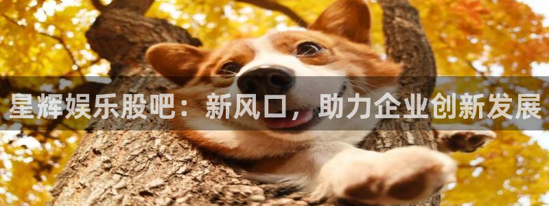 下彩虹多多