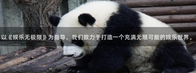 彩虹多多正版下载