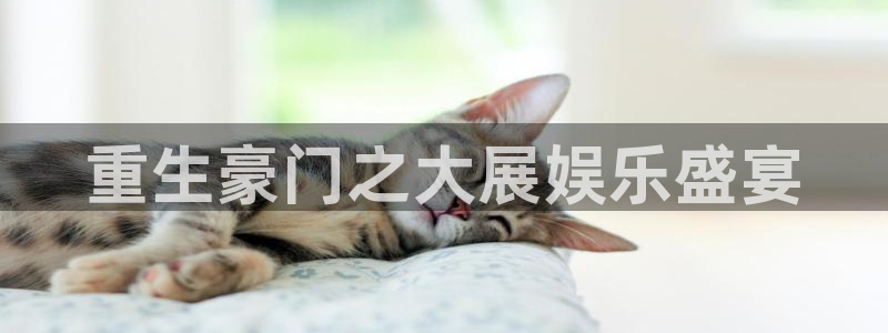 下载彩虹多多新版本