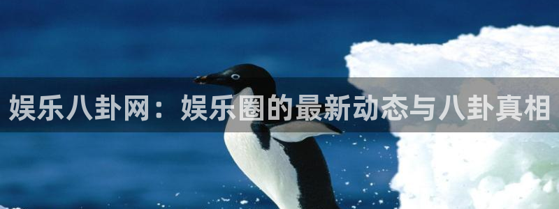 彩虹多多极速版官网