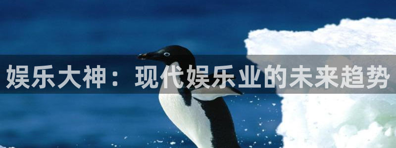 怎样下载老版彩虹多多
