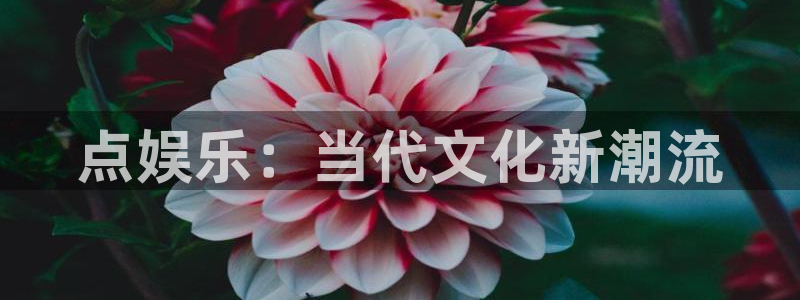 彩虹多多安装