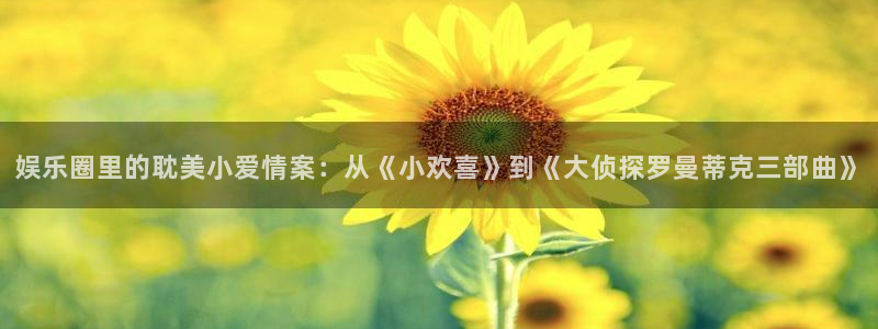 彩虹多多下载安装到手机：娱乐圈里的耽美小爱情案：从《小欢喜》到《大侦探罗曼蒂克三部曲》