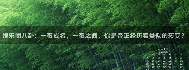 彩虹多多下载安卓版：娱乐圈八卦：一夜成名，一夜之间，你是否正经历着类似的转变？