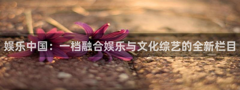 彩虹多多专享版版本：娱乐中国：一档融合娱乐与文化综艺的全新栏目