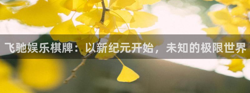 最新彩虹多多app下载：飞驰娱乐棋牌：以新纪元开始，未知的极限世界