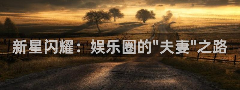 下载彩虹多多软件：新星闪耀：娱乐圈的\