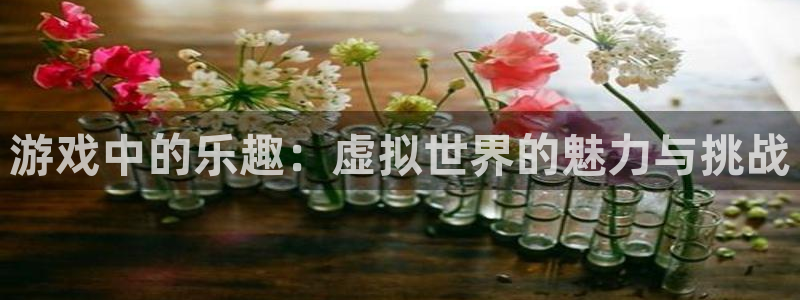 彩虹多多软件下载：游戏中的乐趣：虚拟世界的魅力与挑战