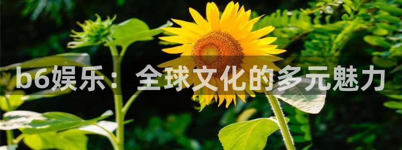 彩虹多多老版：b6娱乐：全球文化的多元魅力