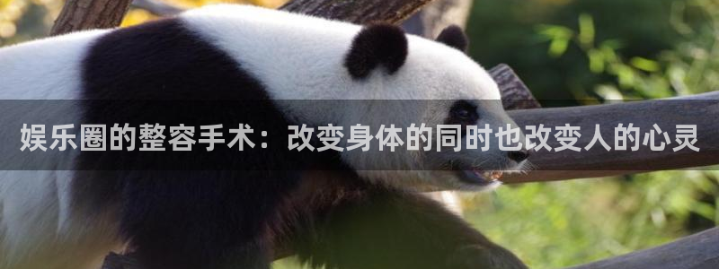 彩虹多多专享版版本：娱乐圈的整容手术：改变身体的同时也改变人的心灵