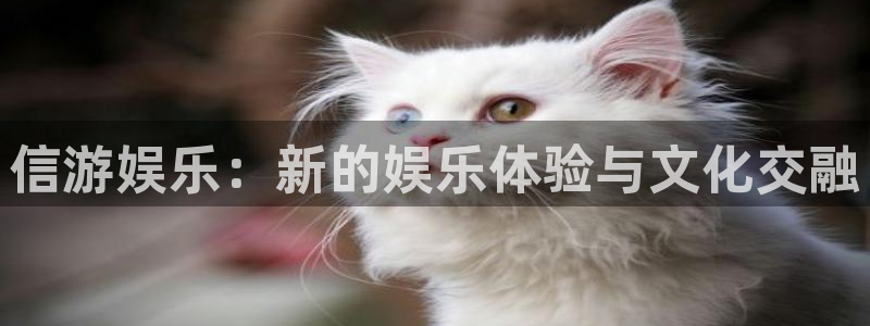 彩虹多多3d走势图下载：信游娱乐：新的娱乐体验与文化交融