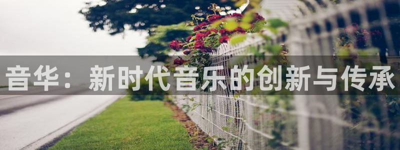彩虹多多正版：音华：新时代音乐的创新与传承