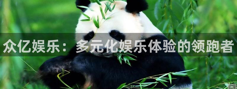 下载彩虹多多新版本：众亿娱乐：多元化娱乐体验的领跑者