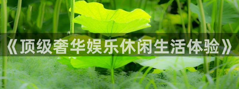 彩虹多多下载苹果手机版：《顶级奢华娱乐休闲生活体验》