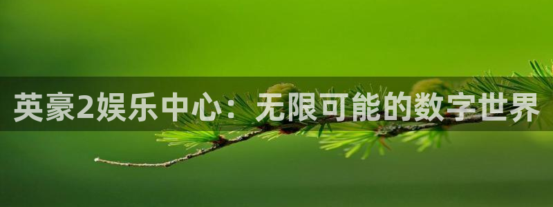 彩虹多多ios版更新时间：英豪2娱乐中心：无限可能的数字世界