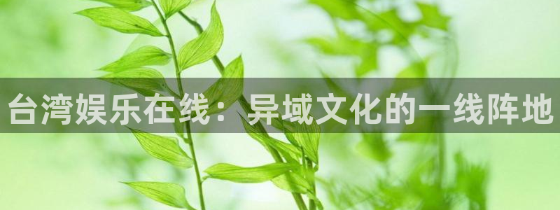 彩虹多多专项版官方免费下载：台湾娱乐在线：异域文化的一线阵地