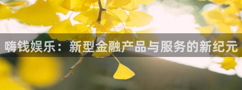彩虹多多版本大全：嗨钱娱乐：新型金融产品与服务的新纪元