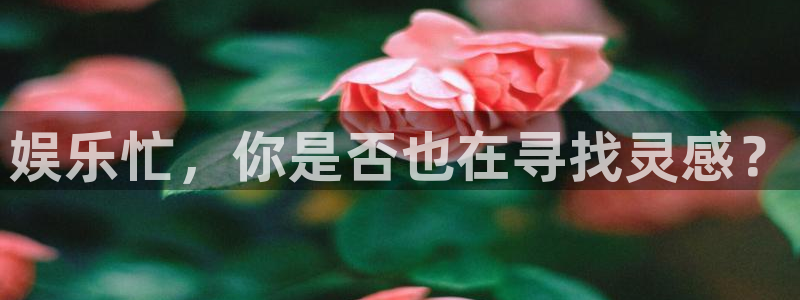 彩虹多多极速版官网：娱乐忙，你是否也在寻找灵感？