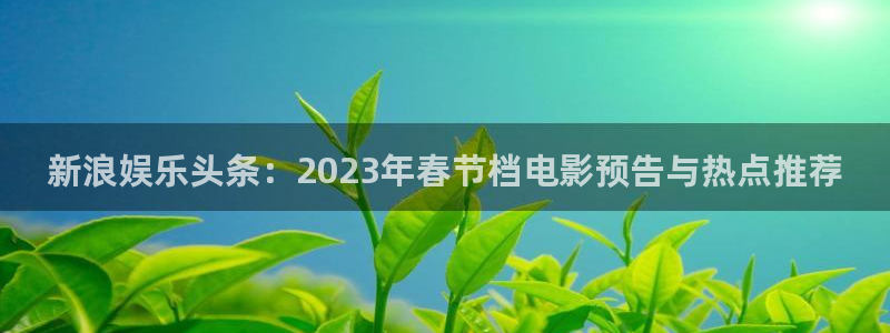 彩虹多多网站：新浪娱乐头条：2023年春节档电影预告与热点推荐