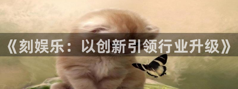 彩虹多多专享：《刻娱乐：以创新引领行业升级》