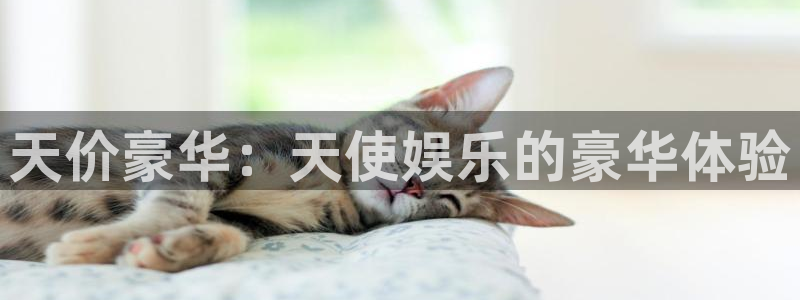 彩虹多多网站：天价豪华：天使娱乐的豪华体验